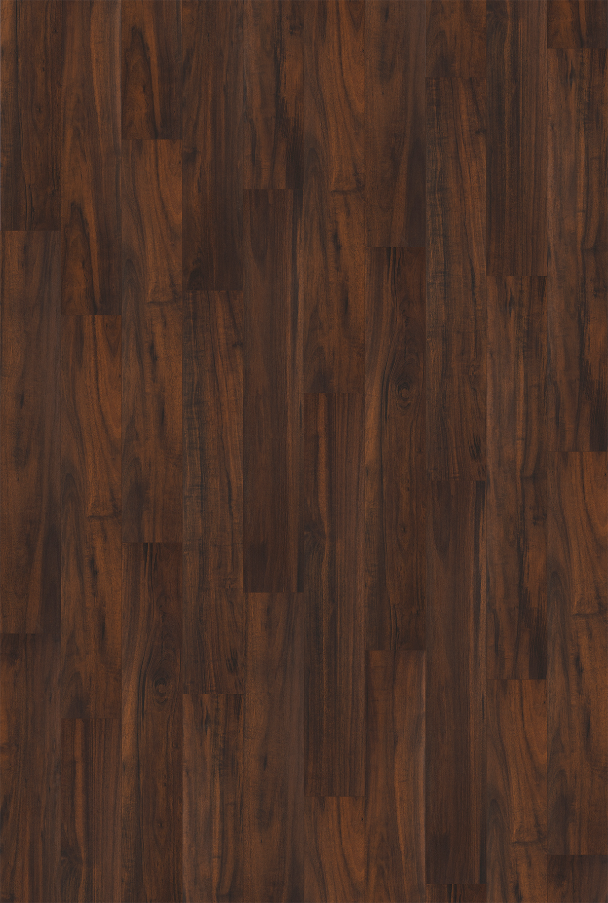 Brazilian Walnut - Image 2