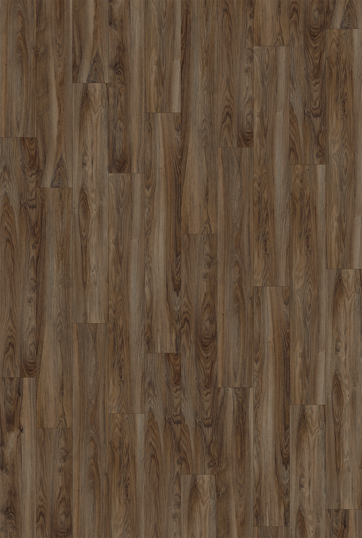 Gunstock Oak - Image 2