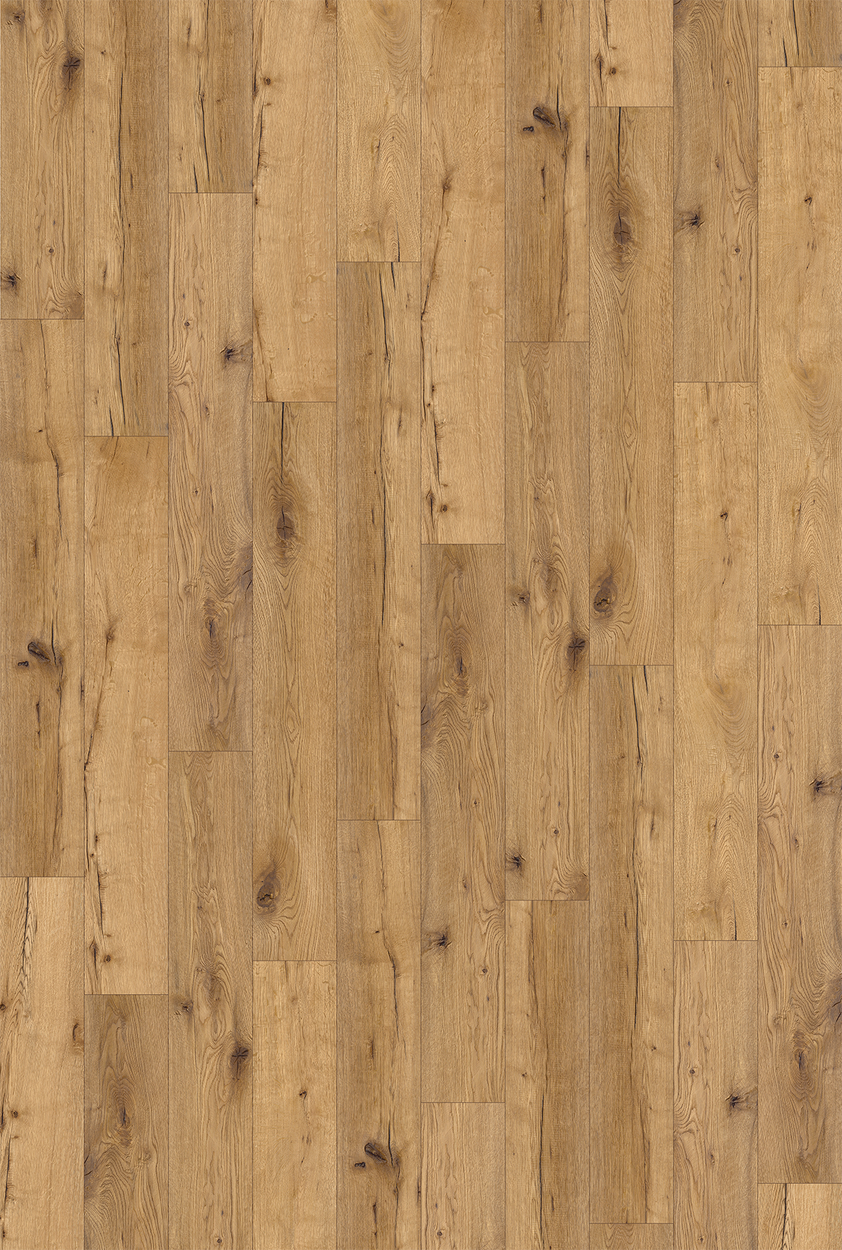 White Oak - Image 2
